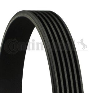 KANALLI V KAYISI 6PK986 BMW F20 11 16 F30 12 16 FIAT PALIO 96 01 BRAVA 95 01 PUNTO 94 99 HONDA CIVIC 01 05 FR-V 04 11287603348-46462950-31110PLR003