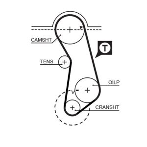 TRİGER KAYIŞI 121x180 CADDY 95-97 -GOLF 1.6 74-92 -PASSAT 73-88 -AUDI-PORSCHE 924 2.0 8V CT637 056109119A