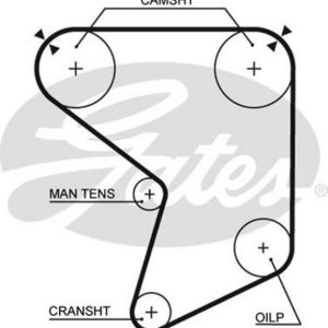 x TRİGER KAYIŞI 142x254 TOYOTA CELICA SUPRA 2.8 12V 81-85 CT610 1356843010