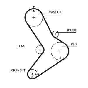TRİGER KAYIŞI 152x300 MOVANO-MASTR 2.5D 152 DİŞ GD152H95P300 CT1038 7701043483-4401429-0816.E5