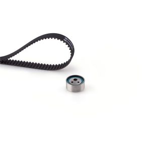 EKSANTRİK GERGİ KİTİ CLIO I-II 98- 1.2-KNG 97- 1.2-TWNG 96- 1.2 087x170 7701477013-7701472675-1680600QA9