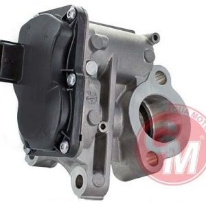 EGR VALFİ MEGANE3-4-SCENIC 3-4-TRAFIC 3-FLUENCE-ESPACE 1.6DCI-QASHQAI II-X-TRAIL-VIVARO B-VITO