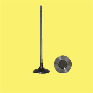 SUBAP EMME EGZOZ P106-P306-P406 1.8-2.0 16V IN-8/EX-8 0948.92-0949.92