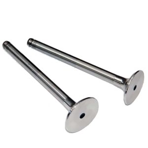 SUBAP EMME EGZOZ KNG-EXP-R19 F8Q-MGN-LGN 1.9 00 IN-4/EX-4 7701471704-7701471705