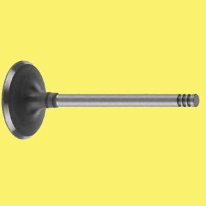 EMME EGZOZ SUBAP TAKIMI POLO-CORDOBA-FABIA 1.6 AEE ALM 032109601G-032109611G