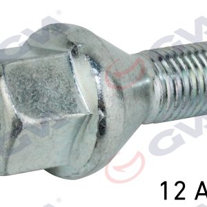 BİJON CİVATASI RENAULT MEGANE-CLIO Y.M. DACIA DUSTER-LOGAN DELİKLİ TİP PAKET 12