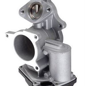 EGR VALFI A4 A6 2.0TDI BLB-BNA-BRE-BRD-BRF-BVF-BVA-BVG 05 08