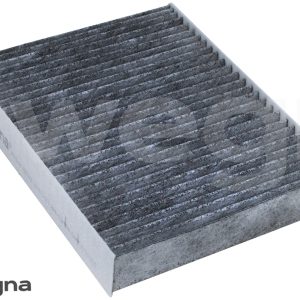 POLEN FILTRESI BMW F20 F30 F22 F32 F33 F34 F36 KARBONLU