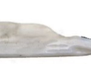 SU DEPOSU BORUSUZ FLUENCE-SCENIC III -MEGANE III 289108100R-289104884R-289101185R