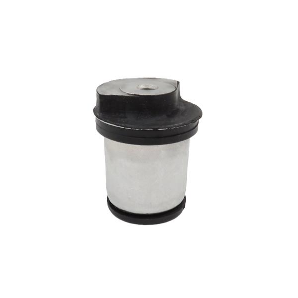 DİNGİL BURCU ASTRA G